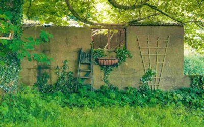 Things to Do in Belfast