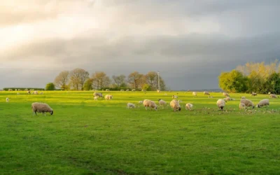 Things to Do in Derby