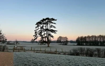 Things to Do in Exeter