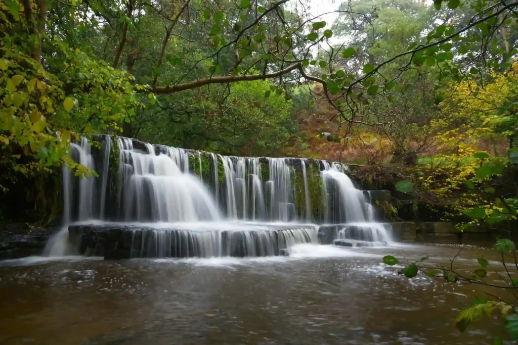 Things to Do in Ripon