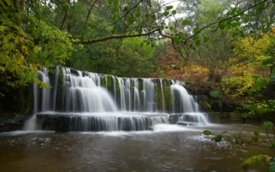 Things to Do in Ripon