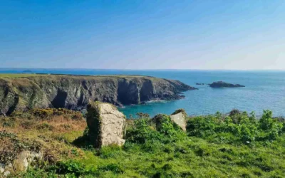 Things to Do in St Davids