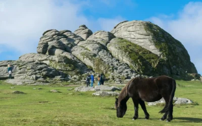 Dartmoor National Park