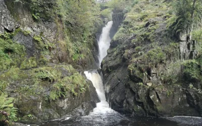 Aira Force