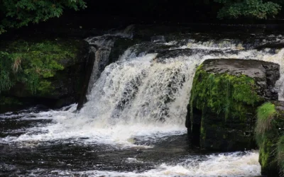 Aysgarth Falls
