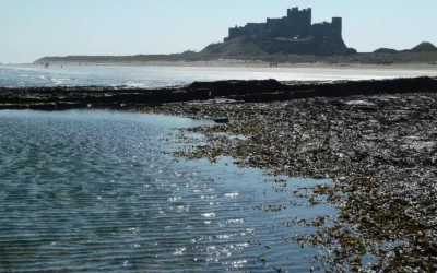 Bamburgh Castle