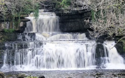 Cotter Force