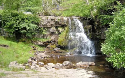East Gill Force