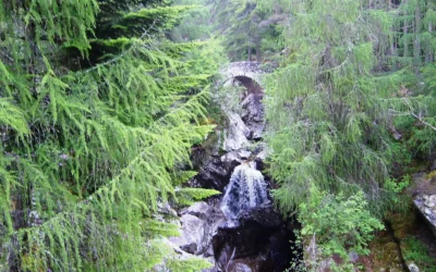 Falls of Bruar