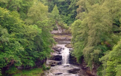Falls of Clyde