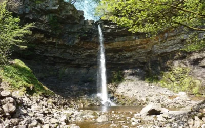 Hardraw Force