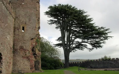 Laugharne Castle