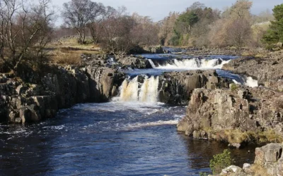 Low Force