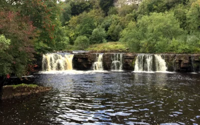 Wain Wath Force
